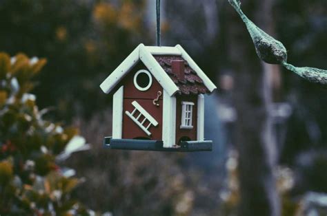 hardiflex identification|Ultimate Guide to Building Your Dream House with Hardiflex in .